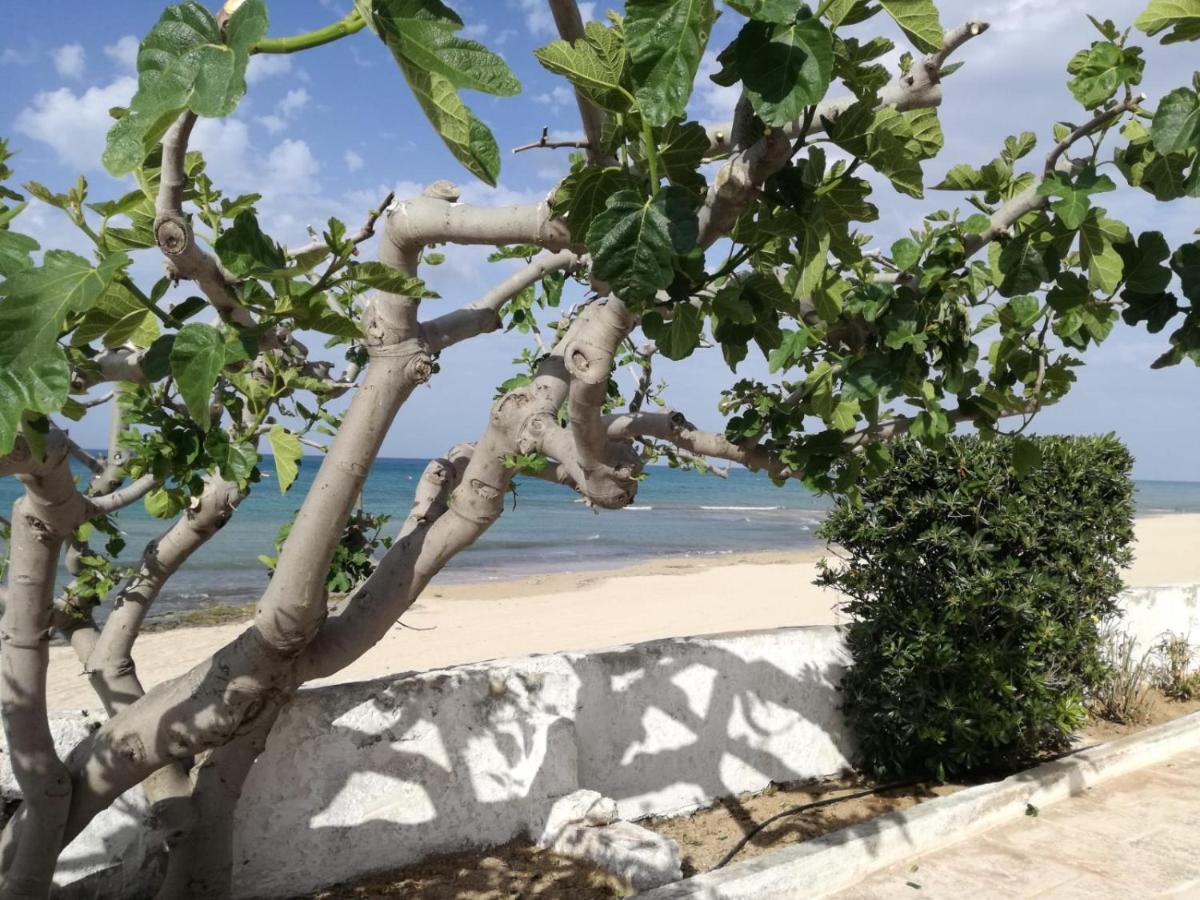 Dimora Grazia In Riva Al Mare Apartman Monopoli Kültér fotó